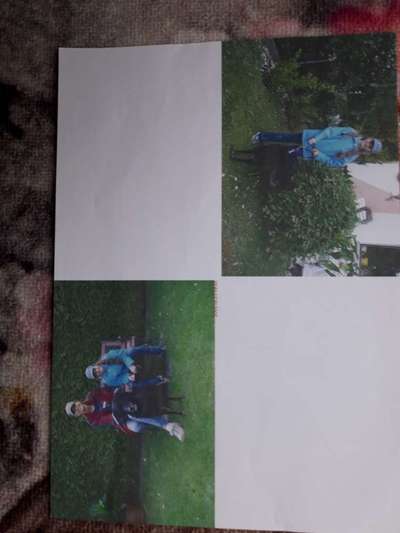 10. Collage-Challenge 
Hunde die Dich begleitet haben bzw. tun-Beitrag-Bild