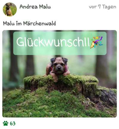 Dogorama Photo Challenge - Märchenwald-Beitrag-Bild