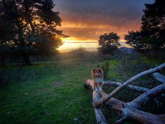 Sonnenaufgänge oder - untergänge-Beitrag-Bild