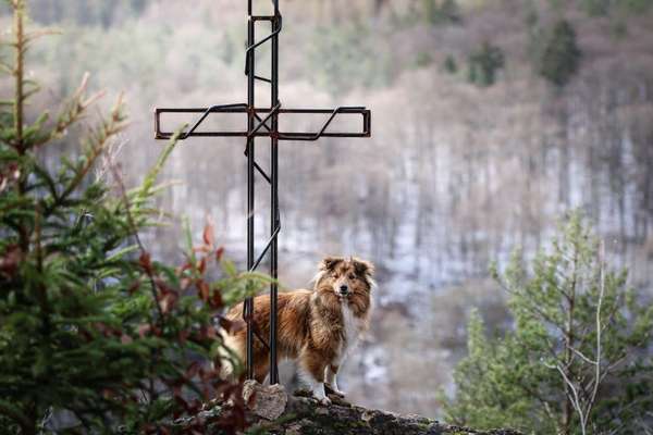 Dogorama Foto Challenge - Wanderziel-Beitrag-Bild