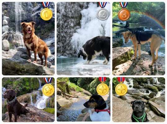 Dogorama Photo Challenge - Wasserfall-Beitrag-Bild