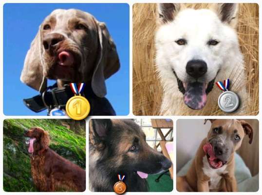 Handyfoto challenge Nr. 13: Waschlappen raus!-Beitrag-Bild