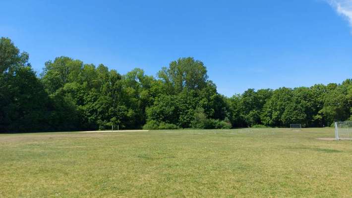 Hundeauslaufgebiet-Am Marienberg-Bild