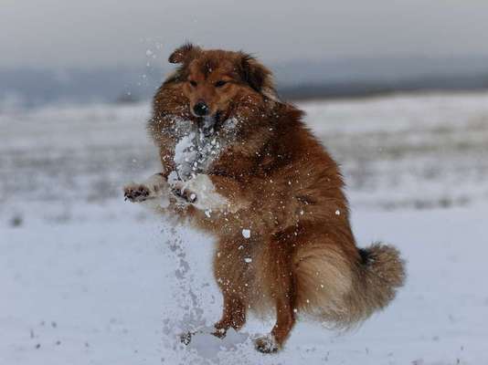 Verspielt-Beitrag-Bild