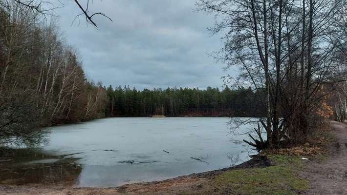 Hundeauslaufgebiet-Jägersee-Bild