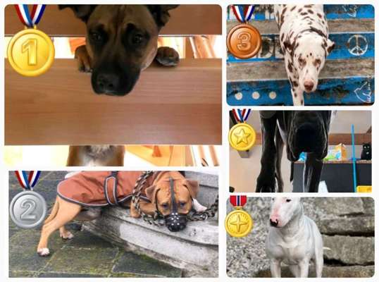 21. Handy-Foto-Challenge-Beitrag-Bild