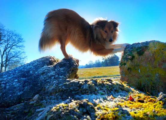 Trick Challenge Nr. 8-Beitrag-Bild