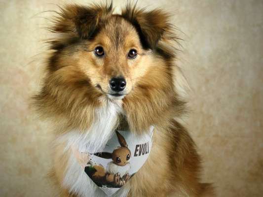 Zeigt eure Portraits-Beitrag-Bild