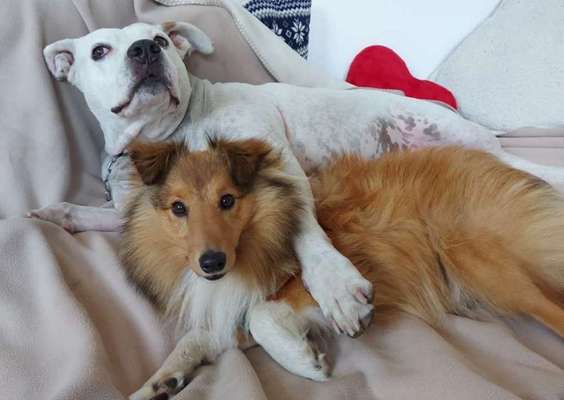 Best friends day-Beitrag-Bild