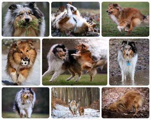 22. Collagen Challenge- Lebensfreude-Beitrag-Bild