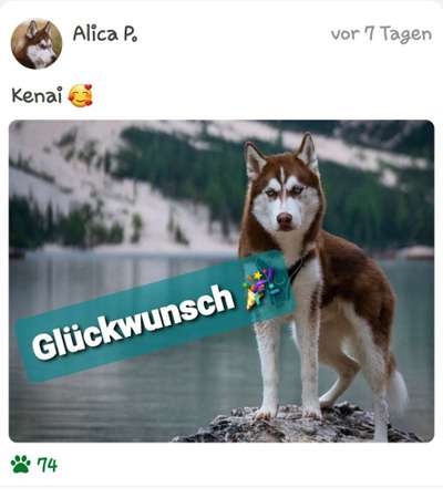 Dogorama Photo Challenge - schönster Gassiausblick-Beitrag-Bild