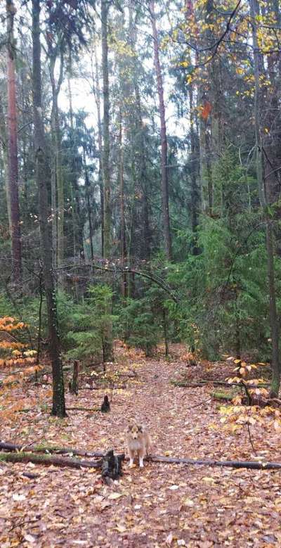 Ton in Ton-Beitrag-Bild