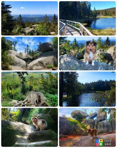 Bayrische Seen-Beitrag-Bild