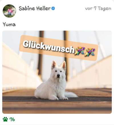 Dogorama Photo Challenge - Brücken-Beitrag-Bild