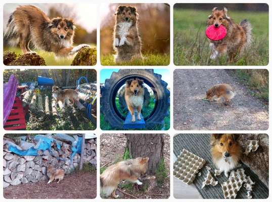 12. Collagen Challenge - Auslastung/Training-Beitrag-Bild