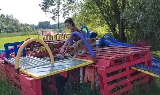 Fotochallenge 108: Starkes Team-Beitrag-Bild