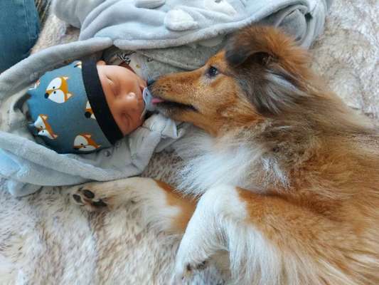 18. Handy - Foto - Challenge-Beitrag-Bild