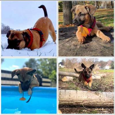 1. Fotochallenge Collagen - 4 Jahreszeiten-Beitrag-Bild