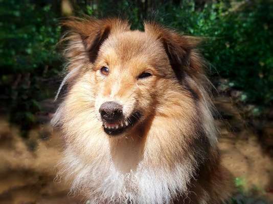 Handy-foto Challange nr. 11-Beitrag-Bild