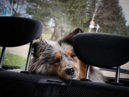 117. Fotochallenge-Beitrag-Bild