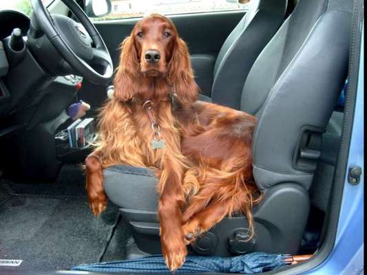 Fotochallenge 101:
On Tour-Beitrag-Bild