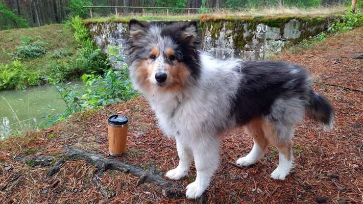 Ist das ein...?-Beitrag-Bild