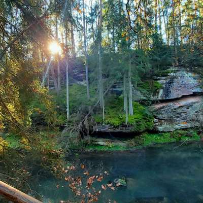 Hundeauslaufgebiet-Brückkanal Schluchtweg & Waldweg-Bild