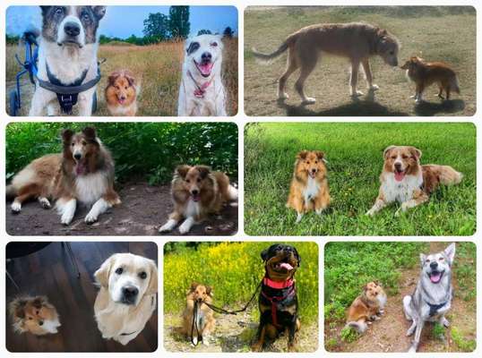 Groß oder Klein?-Beitrag-Bild