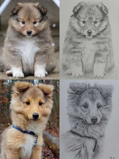 Zeichnungen Eurer Hunde !?-Beitrag-Bild