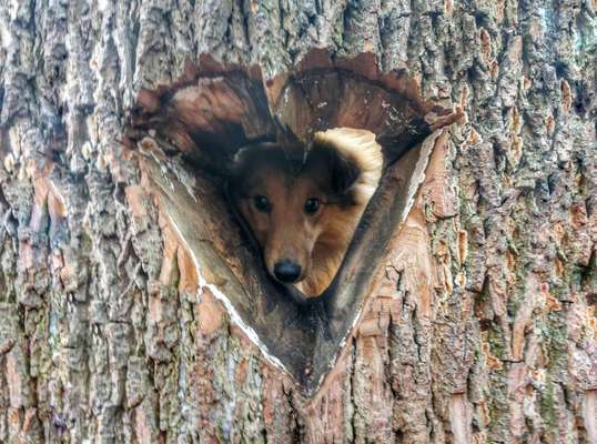 Fotochallenge Nr. 62 Romantische Momente-Beitrag-Bild