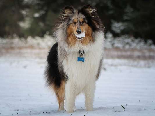 Verspielt-Beitrag-Bild