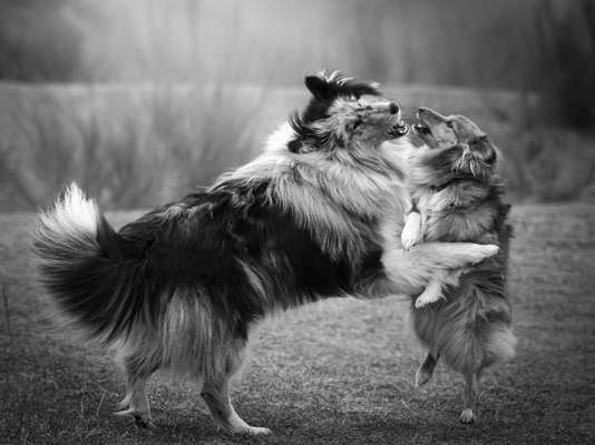 3. Farben/Fotochallenge: Schwarz/Weiß-Beitrag-Bild