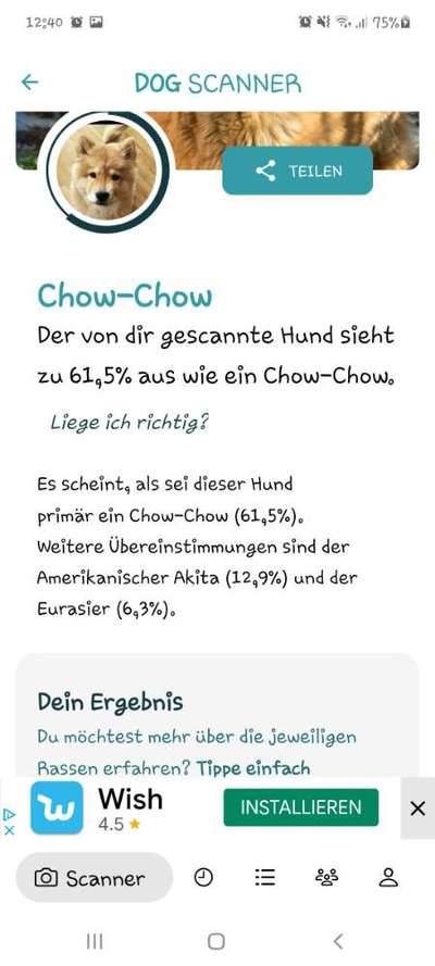 Was denkt ihr, welche Rassen könnten in ihm stecken?-Beitrag-Bild