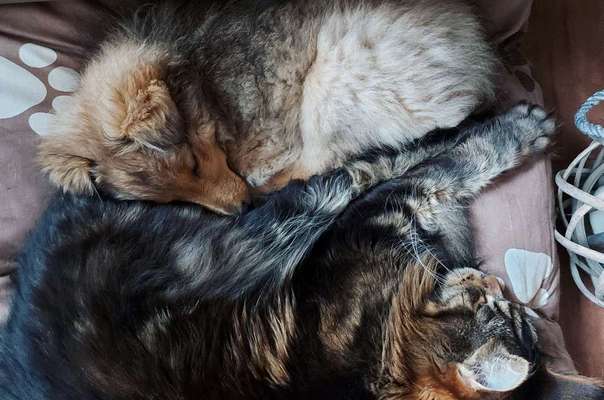 CHALLENGE Nr.17-Beitrag-Bild