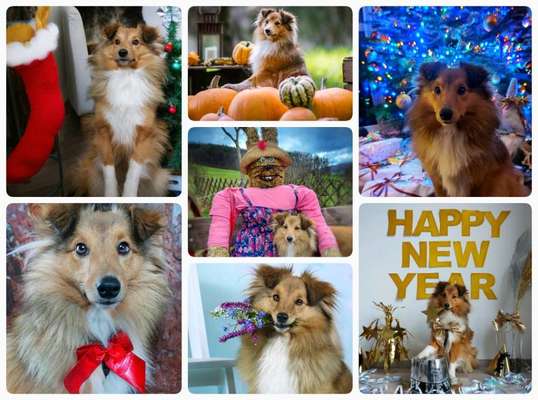 8. Collagen Challenge - Feste/Feierlichkeiten-Beitrag-Bild