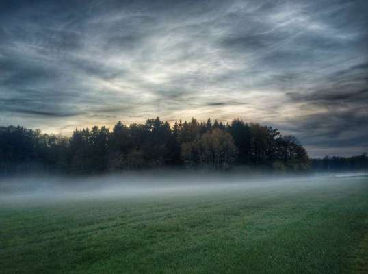 Die wunderschöne Welt mit Hund.-Beitrag-Bild