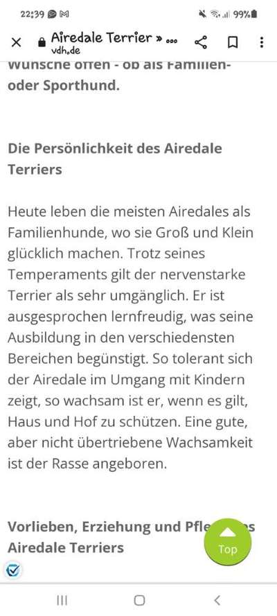 Suche passende Rasse-Beitrag-Bild