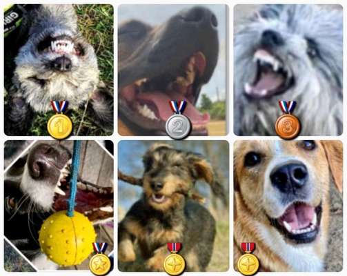 26. Collagen Challenge- Zeigt her eure Zähne-Beitrag-Bild