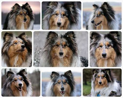 23. Collagen-Challenge: Portraits-Beitrag-Bild