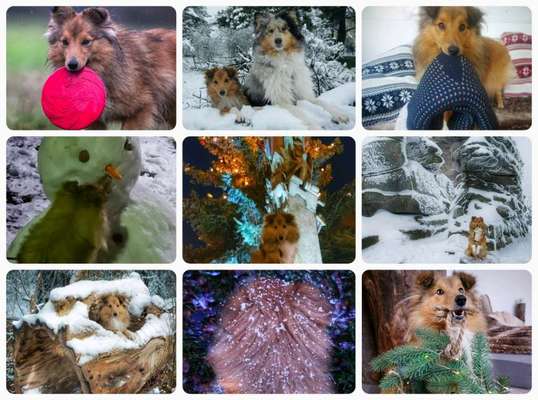13. Collage- Challenge 
Beschäftigung in der kalten Jahreszeit-Beitrag-Bild