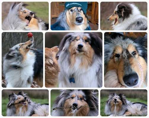 20. Collagen Challenge - "Lustige Schnappschüsse"-Beitrag-Bild