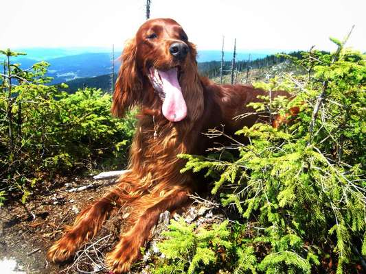 Fotochallenge Nr 107-Beitrag-Bild