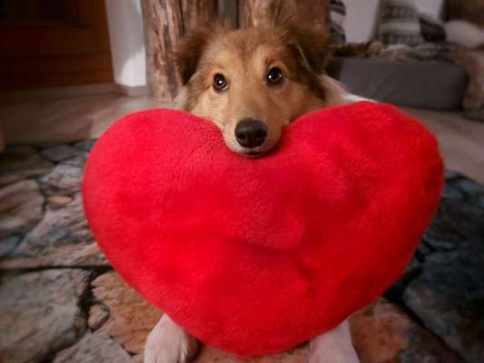 67. Handy Foto Challenge: Rotes Herz-Beitrag-Bild