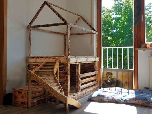 Hundeburg (oder Katzenburg) zu verkaufen-Beitrag-Bild