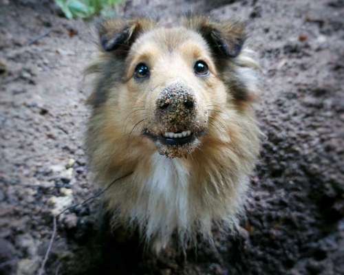 Fotochallenge Nr.105  Glücksmomente-Beitrag-Bild