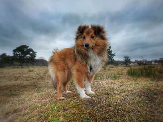 Ist das ein...?-Beitrag-Bild