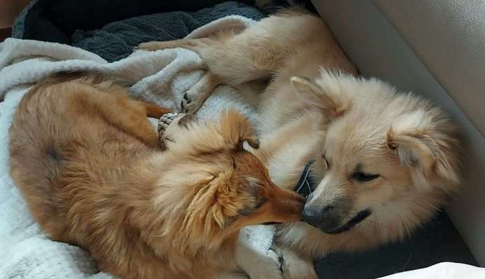 Challenge 30  Freundschaft-Beitrag-Bild