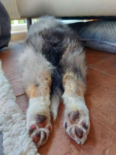 Ratespaß geht weiter-Beitrag-Bild