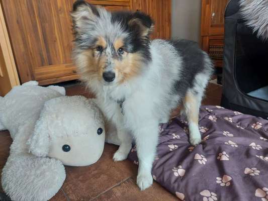 Doppelgänger gesucht !-Beitrag-Bild