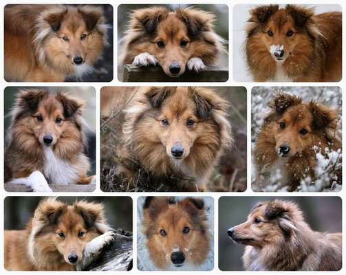 23. Collagen-Challenge: Portraits-Beitrag-Bild